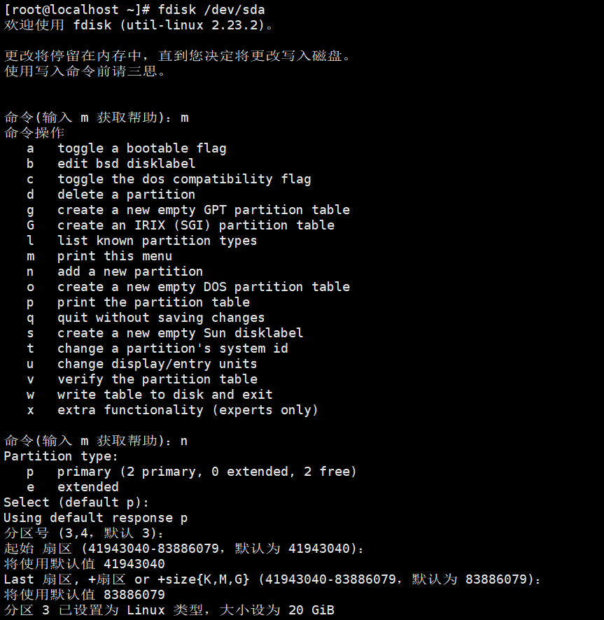 image-20240205173132653